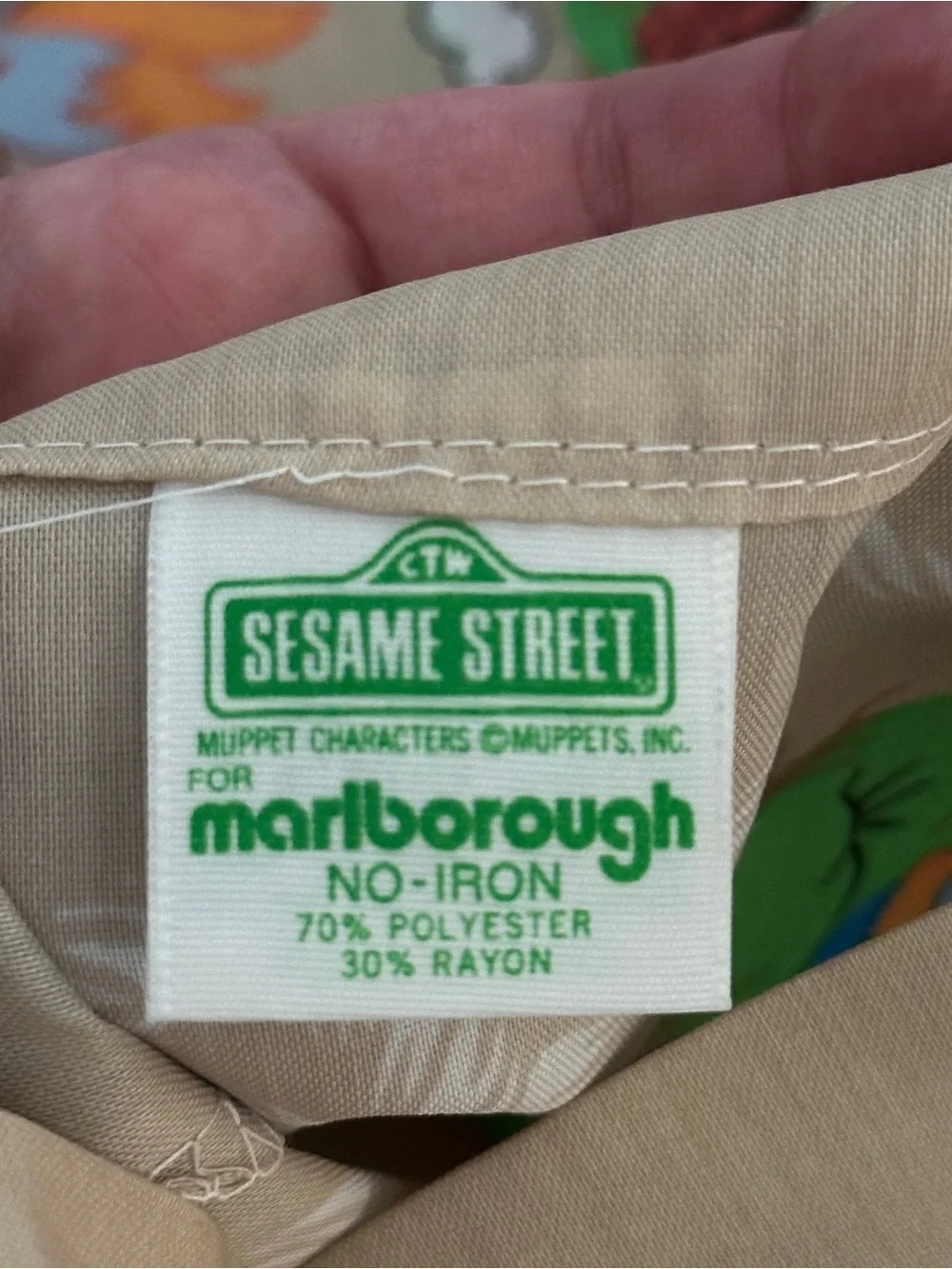 Vtg Sesame Street PILLOWCASE ONLY Big Bird Cookie Monster Ernie Camping Country